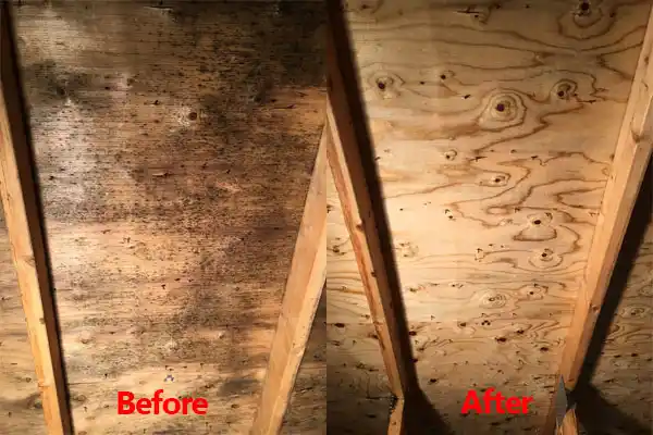 water damage restoration service Selma